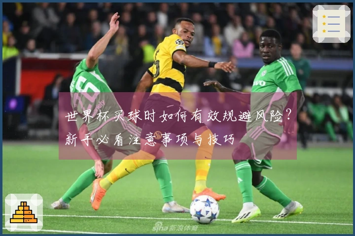 世界杯买球时如何有效规避风险？新手必看注意事项与技巧