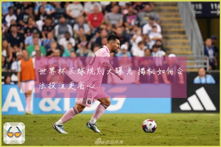 世界杯买球规则大曝光 揭秘如何合法投注更省心