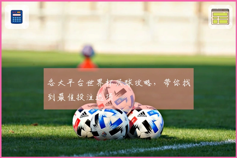 各大平台世界杯买球攻略,带你找到最佳投注选项