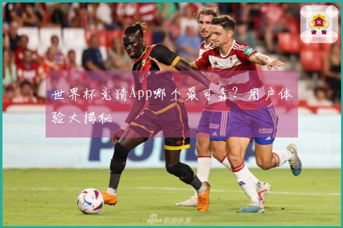 世界杯竞猜App哪个最可靠?用户体验大揭秘
