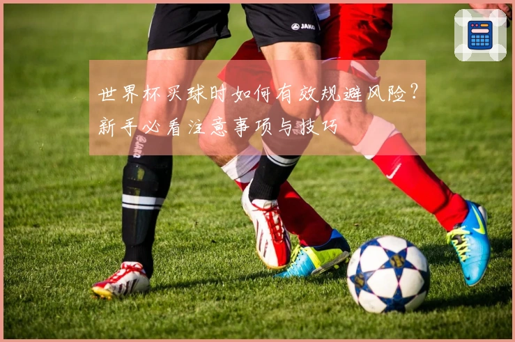 世界杯买球时如何有效规避风险?新手必看注意事项与技巧