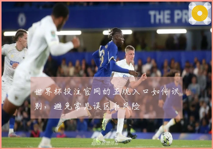 世界杯投注官网的正规入口如何识别，避免常见误区和风险